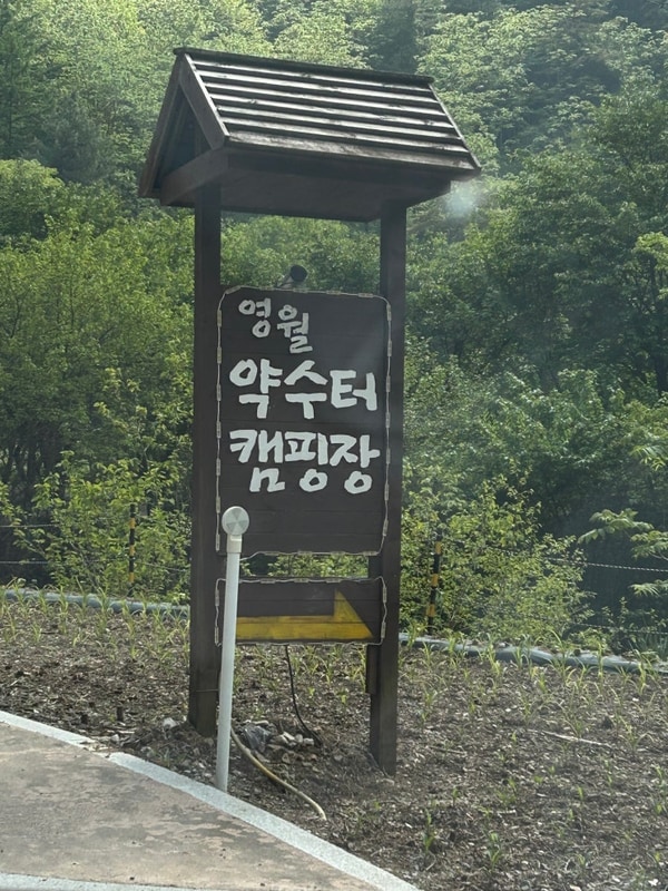 강원도영월 캠핑장 추천 / 벚꽃캠핑장 영월약수터 방문 찐 후기