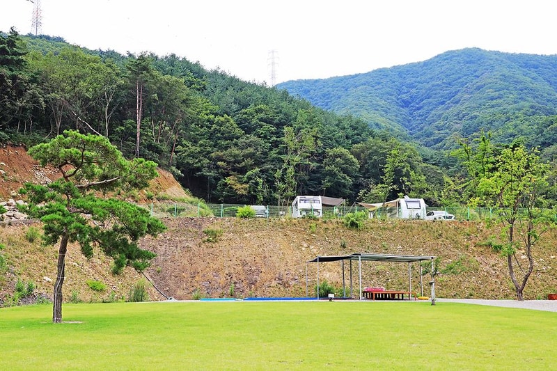 경주 더숲 관광농원 시설 사진 5