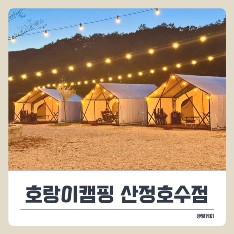 포천 산정호수 글램핑 찾는다면 ‘호랑이캠핑’ 추천!...