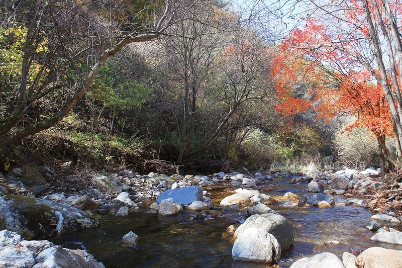 선달산계곡캠핑장 시설 사진 10