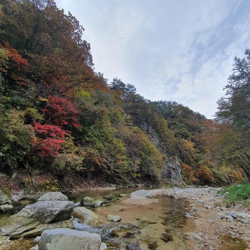 강원 홍천 알프스밸리 캠핑나라 글램독 시설 사진 8