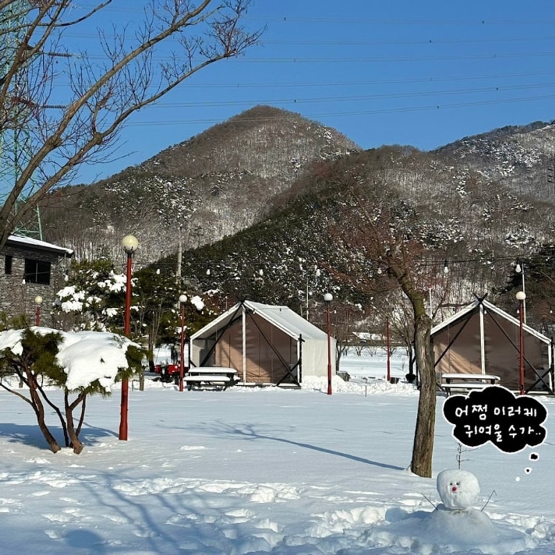 장성 글램핑, 장성 애플 글램핑