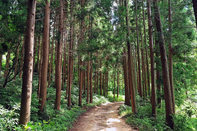 국립천관산자연휴양림 시설 사진 6