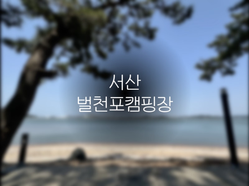 [서산여행] 서산 서해바다 전체 오션뷰 캠핑장 _ 서산벌천포캠핑장