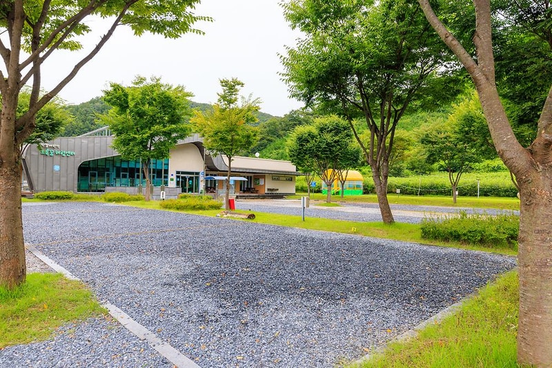 박달재초록꿈캠핑체험장 시설 사진 15