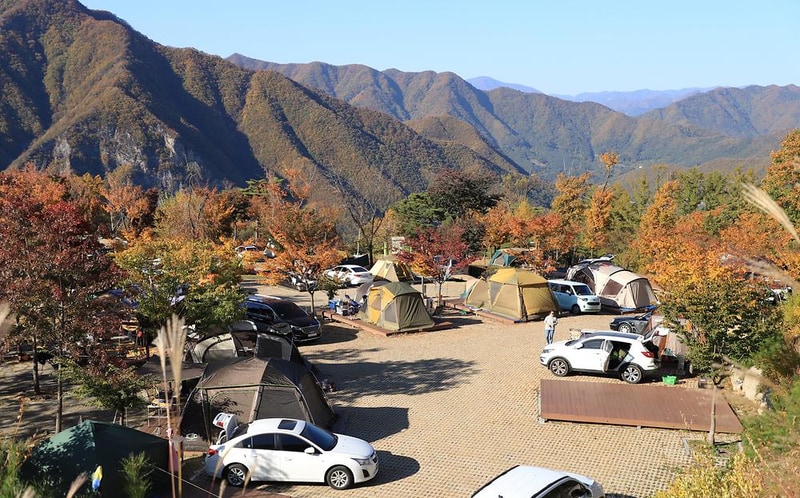 동강전망휴양림오토캠핑장 시설 사진 17