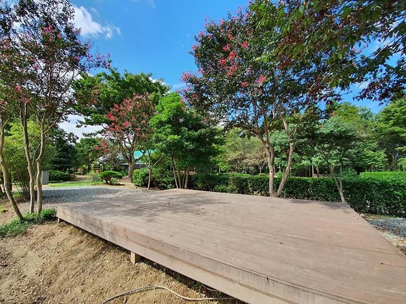 무릉관광농원 대표 사진