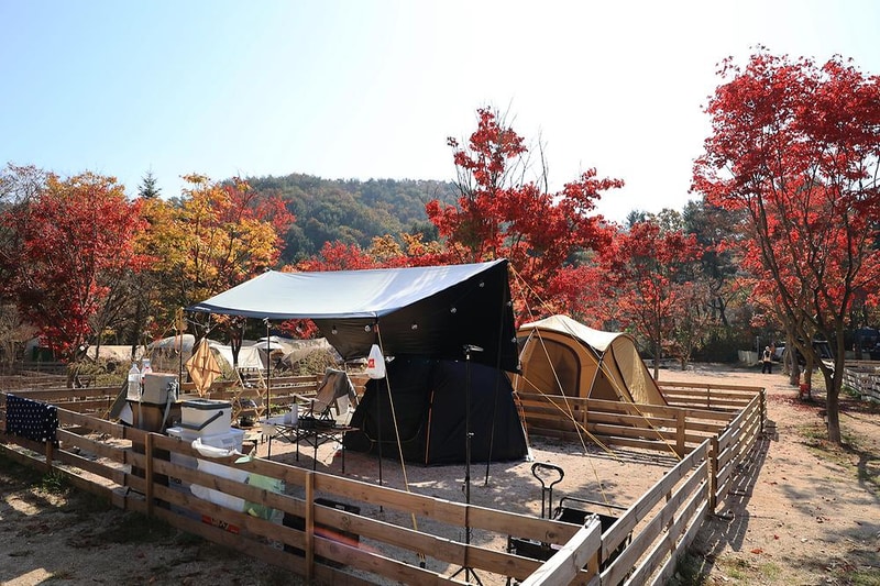 위드독스in포천 시설 사진 17