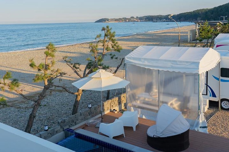 풀비치카라반 대표 사진