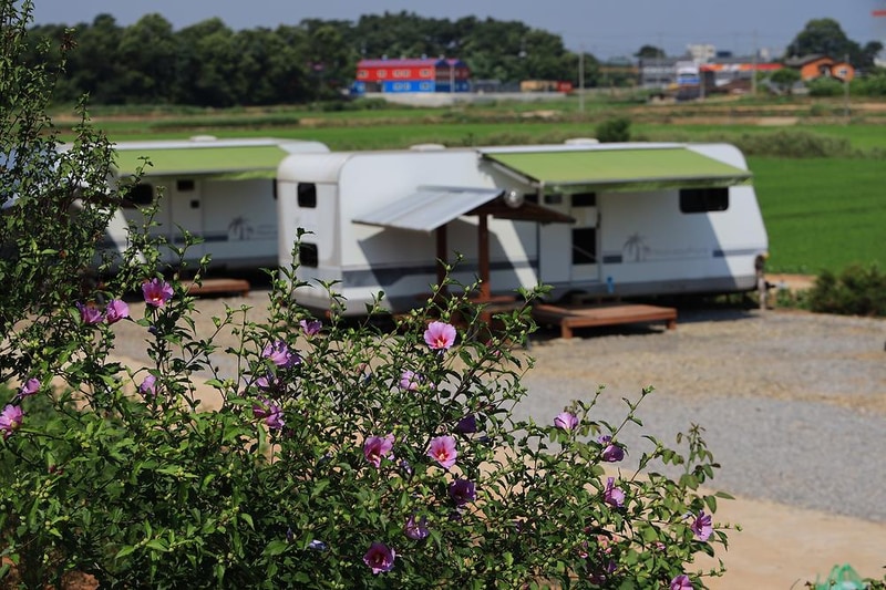 클럽레스피아in삽교바다공원 시설 사진 3