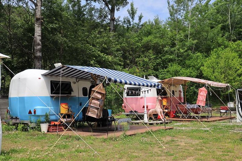 트리앤캠프스토리 대표 사진