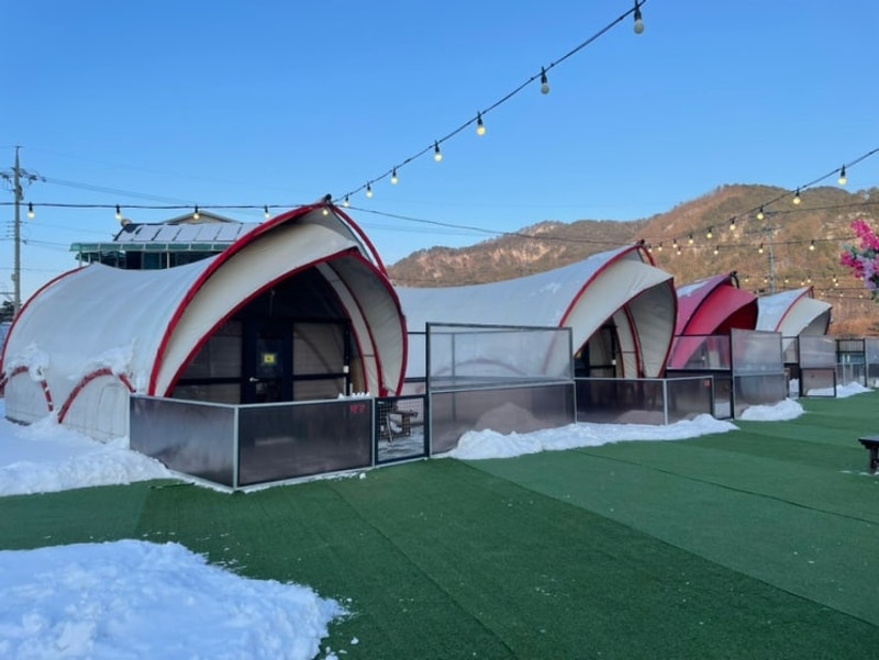 서울근교 포천애견글램핑 추천 개별테라스 쏘쿨이네글램핑