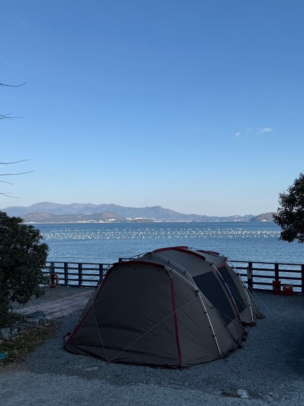 [창원 타이거스피드 안녕오토캠핑장] 부산근교 일출맛집...