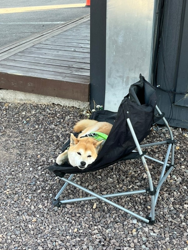 대구근교 캠핑장 : 성주 별빛가득 야영장