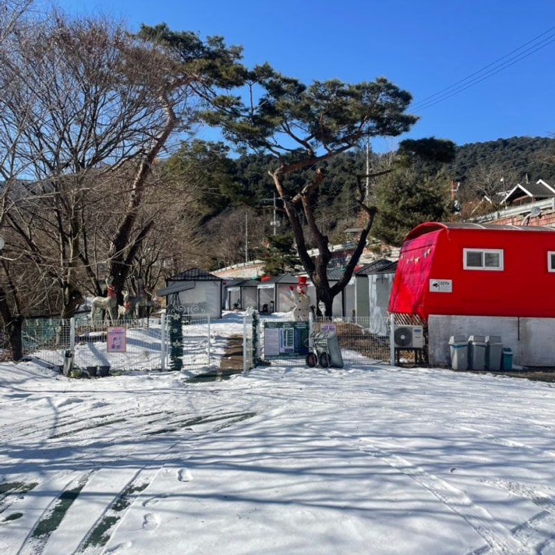 여행, 가평 카라반 추천, 내돈내산 후기 [모나캠핑파크 가평점]