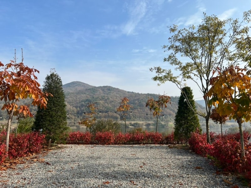 충주 키즈캠핑장 소리의섬! 솔직후기 명당사이트