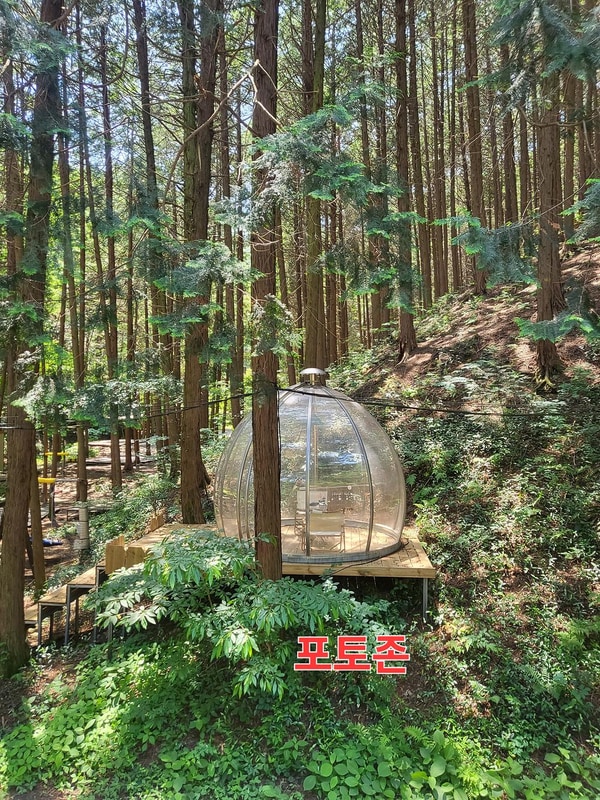 편백힐 치유의숲 야영장 시설 사진 3