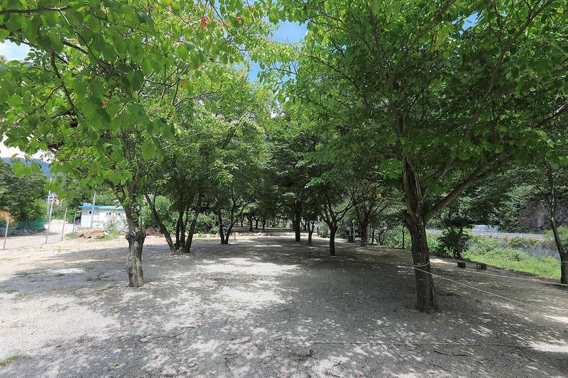 산골펜션캠핑장 시설 사진 12