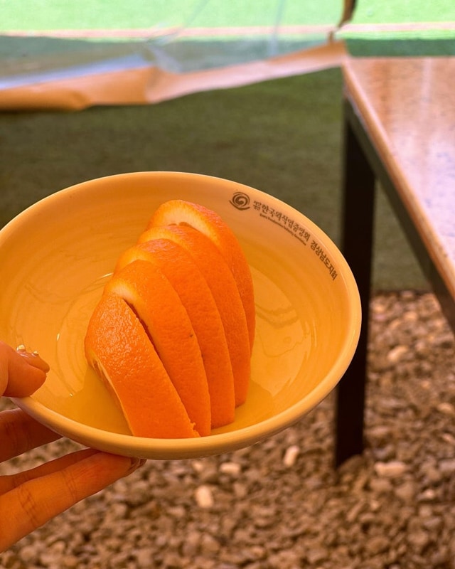 아이와 뛰어놀며 맛있는 고기를! 김해 글램핑장 휴파티 방문 후기