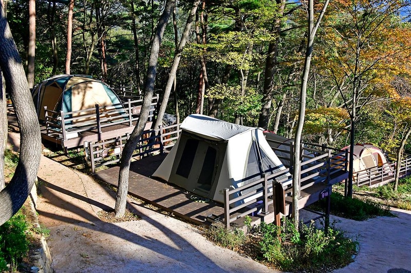 신어산자연숲캠핑장 시설 사진 4