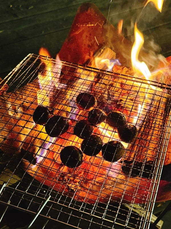 알밤줍기 캠핑) 가평 오케이 캠핑장