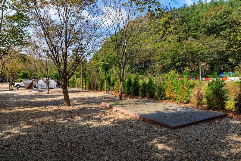 금산 자연 오토캠핑장 시설 사진 14