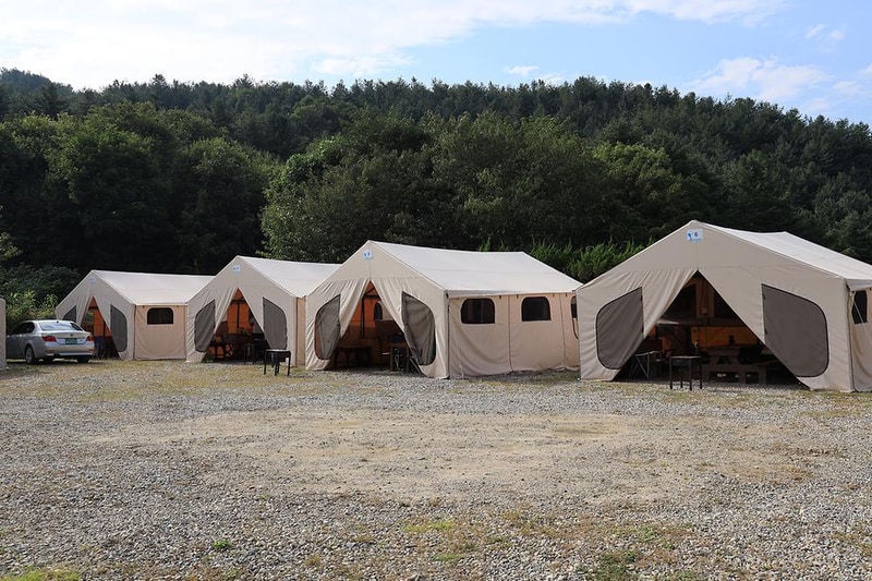 링크독 애견캠핑장(Link dog 애견캠핑장) 시설 사진 8