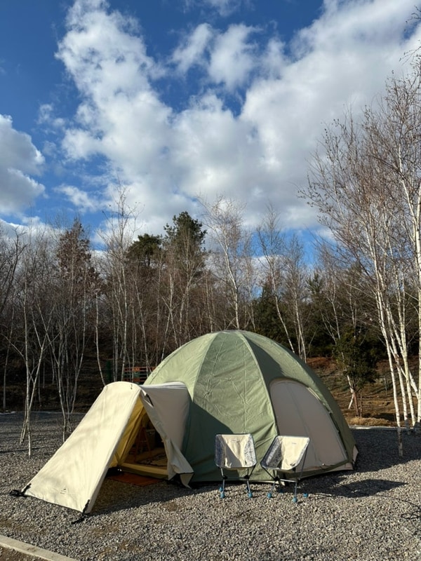 [나무와쉬리] 경기도 파주 신상 캠핑장 나무와쉬리 2박 후기