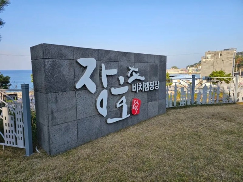 삼척 장호비치캠핑장/강릉초당수제버거/강원도 고성칡소 정육점