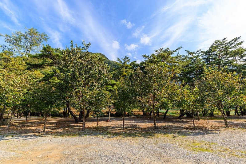 월악산억수솔밭캠핑장 시설 사진 8