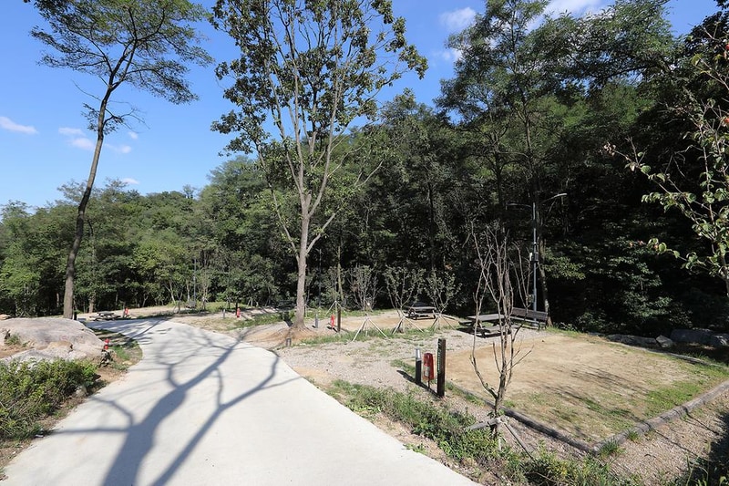 태학산 자연휴양림 오토캠핑장 시설 사진 8