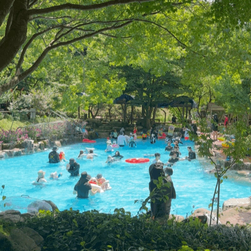 전북 정읍 캠핑과 물놀이가 가능한 자두마을 캠핑장