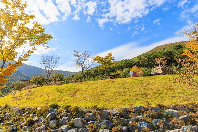 거금도 청석 오토캠핑장 시설 사진 7