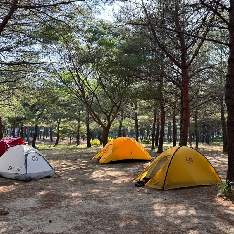 양양오토캠핑장 양양캠프장 불멍 장작 샤워 데크 캠핑초보