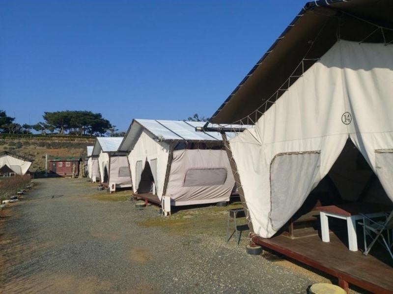 새벽과 노을이 함께한 태안캠핑 태안 안면도 비비애견동반캠핑장