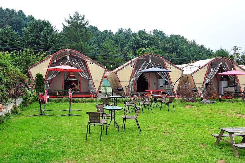 파인벨리 펜션 앤 글램핑 주식회사 시설 사진 3