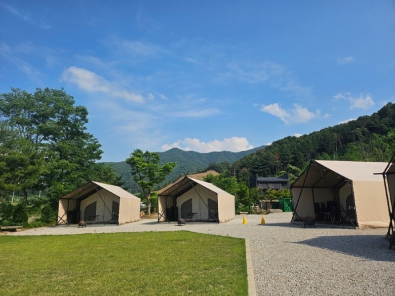[경기도/포천] 포천 호랑이 캠핑 한탄강점, 글램핑 및 바베큐 후기
