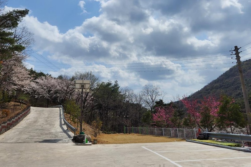 별품은 숲속 캠핑장 시설 사진 11