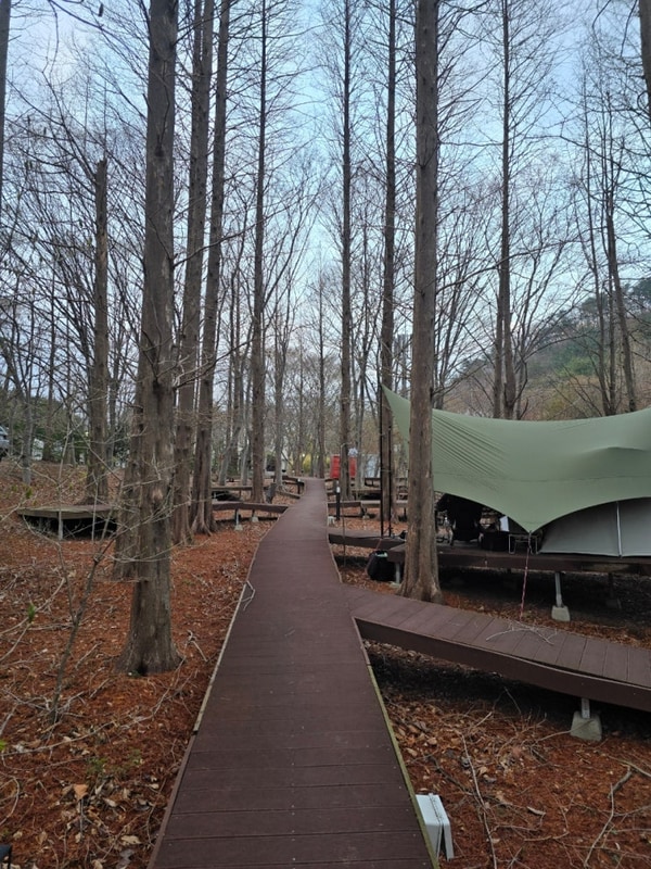 경주 깊은 산속 공기 좋은 캠핑장 #노꼬담꼬