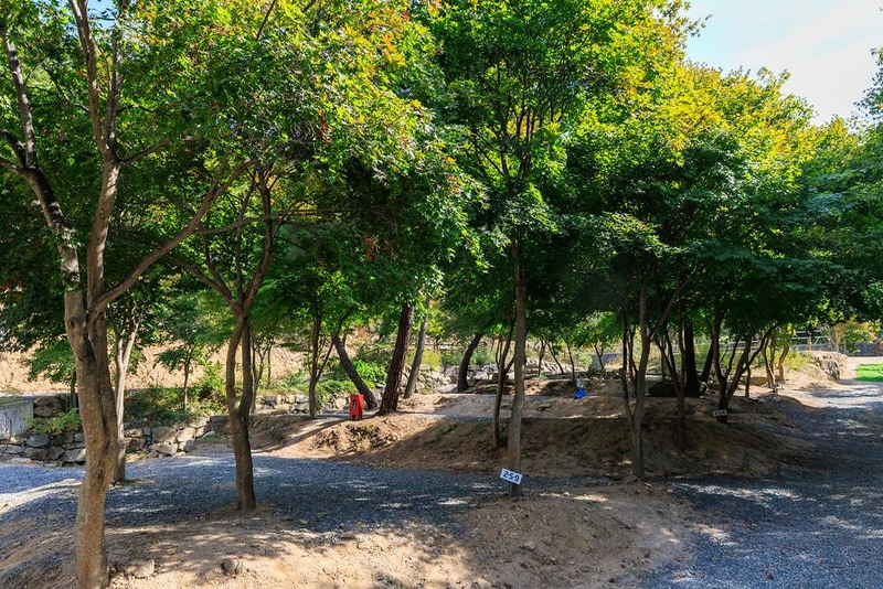 심천치유자연휴양림야영장 시설 사진 12