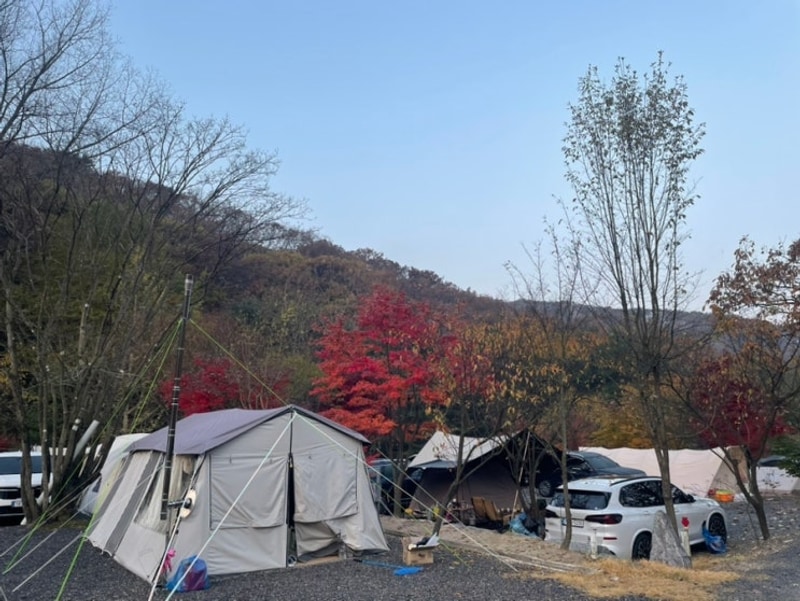 경기도 파주 율곡 수목원 부근 '율곡캠핑장' B-10 사이트 2박...