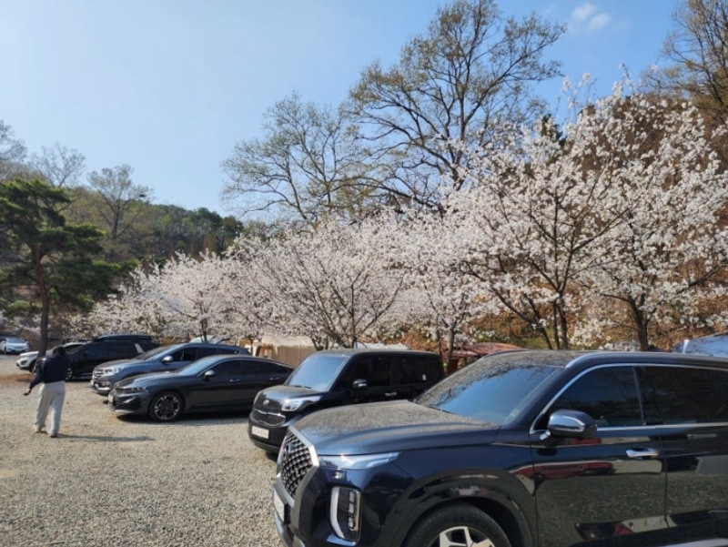 캠핑팟팟ㅣ경기도 평택:) 덕암호 캠핑장