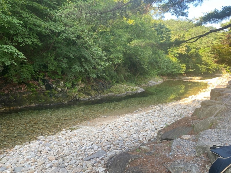 아이들 물놀이하기 좋은 영월 선착순 계곡 캠핑장, 솔밭캠프장