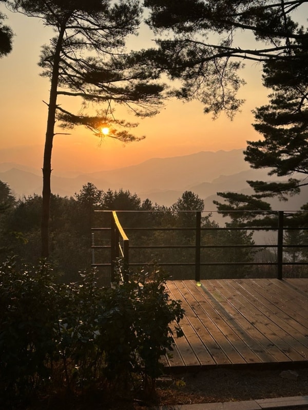 영월 구름품은 캠핑장, 마운틴뷰 애견동반 캠핑장