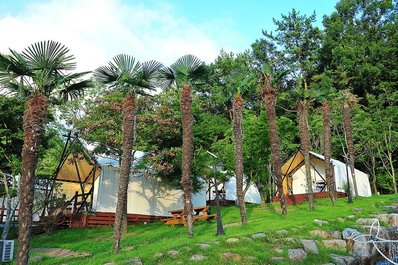 하늘빛수목원 시설 사진 5