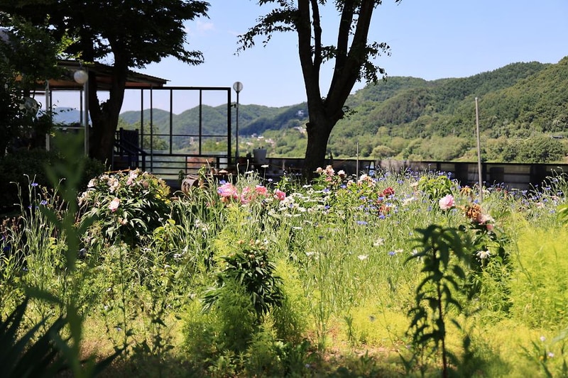봄날농원 시설 사진 4