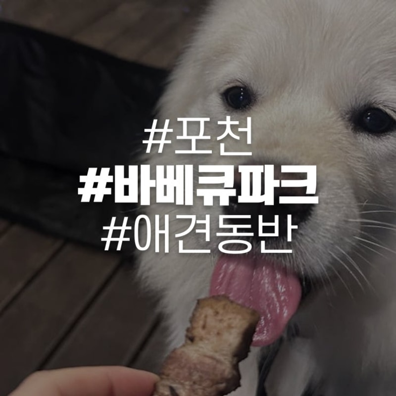 애견동반 캠핑바베큐장 [포천] 바베큐존파크