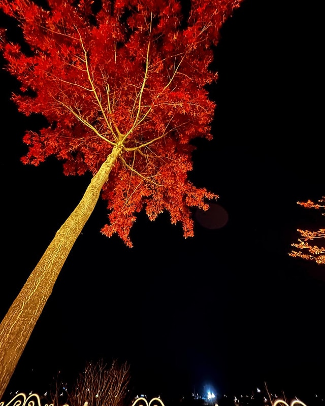 캠프 파지립 시설 사진 22