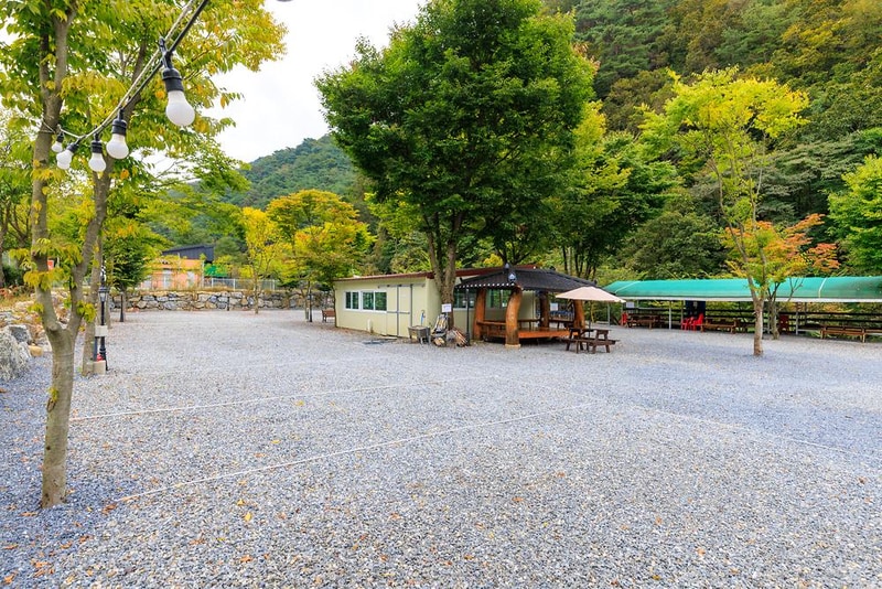 명암539펜션오토캠핑장 시설 사진 8