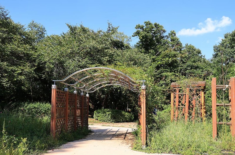 관악산 계곡 캠핑장 시설 사진 5